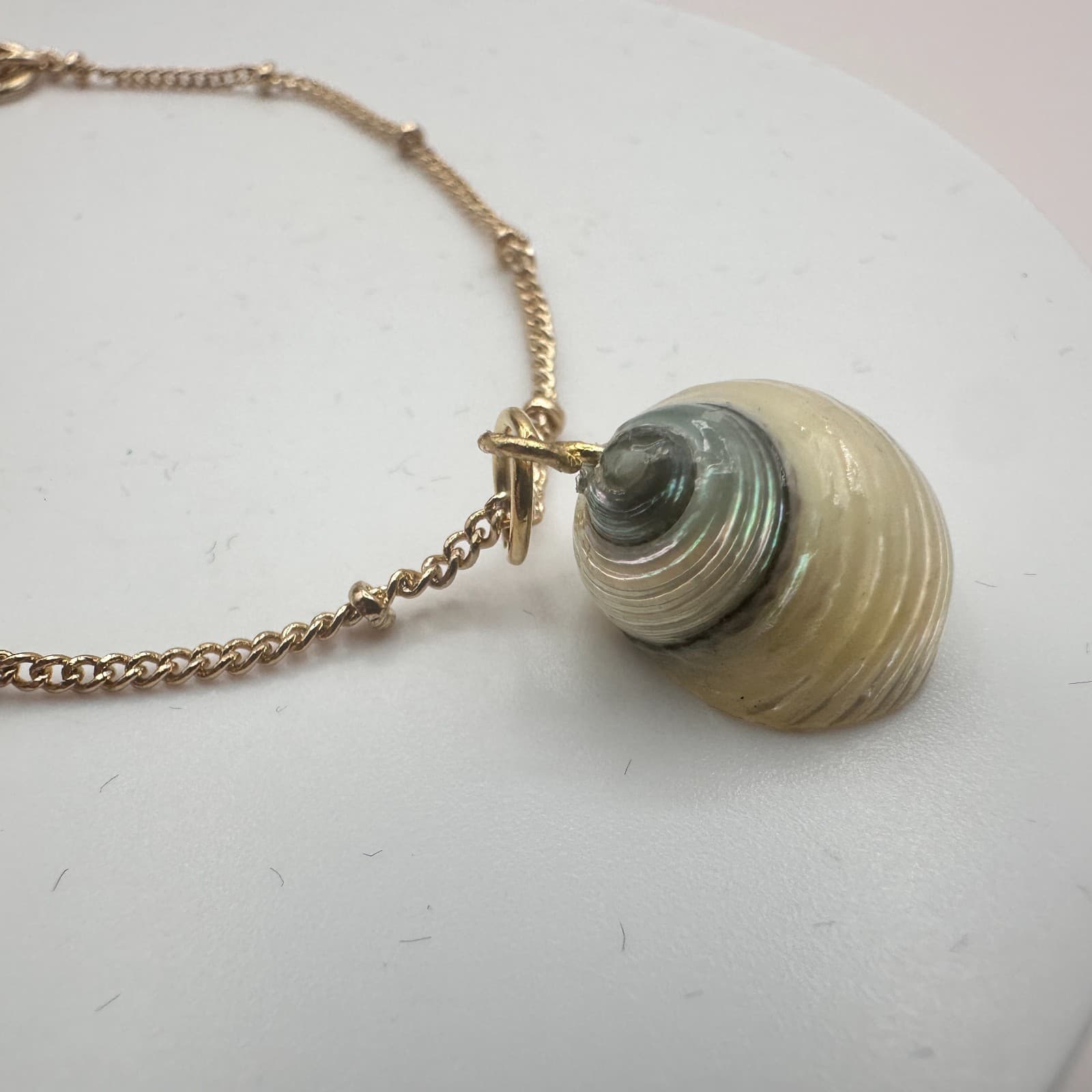 Vintage Y2k Gold Tone Satellite Chain Natural Spiral Seashell Pendant Jewelry - Thumbnail 3