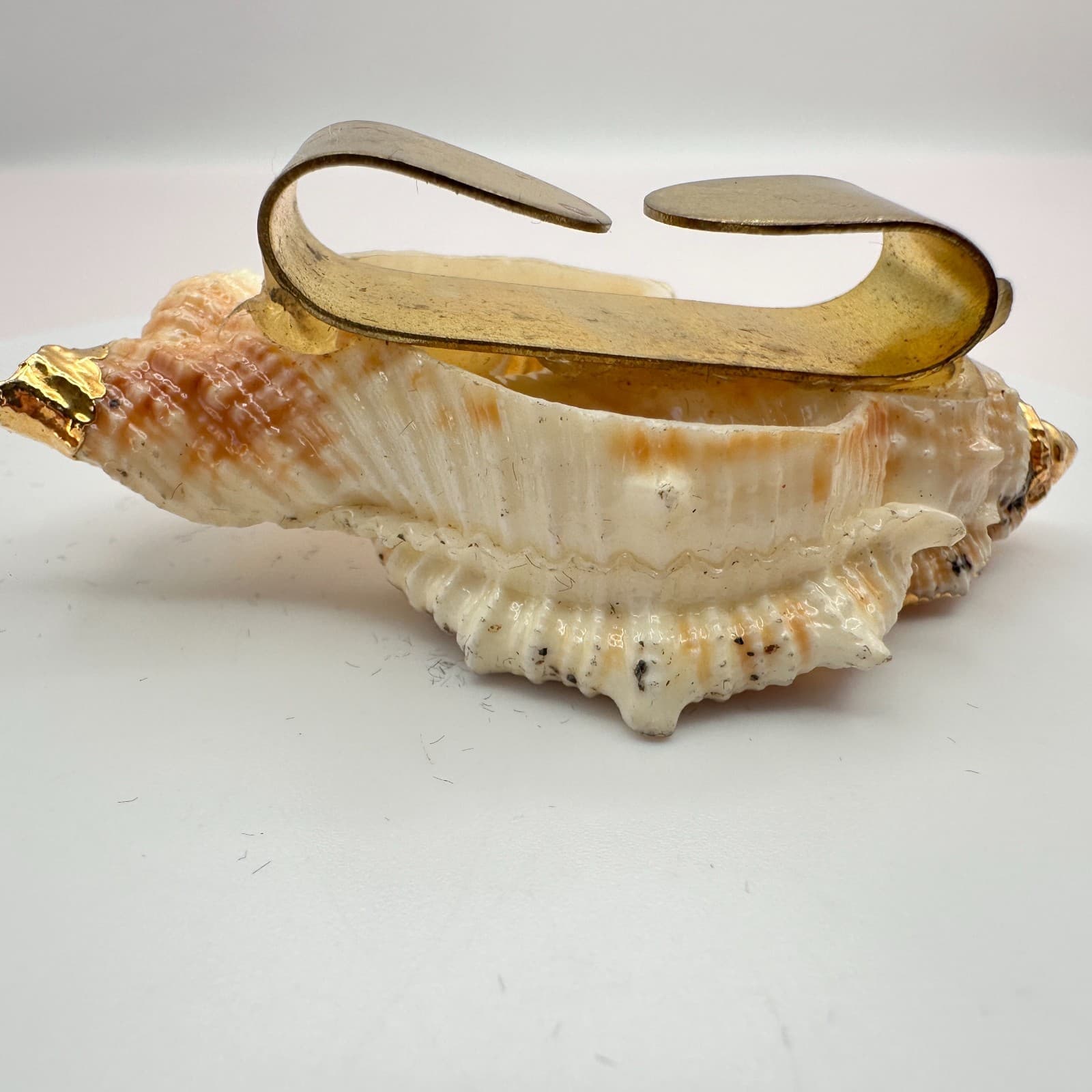 Vintage Y2K Center Cut Frilled Frog Seashell Tie Clip Gold Tone Trim Statement - Thumbnail 8
