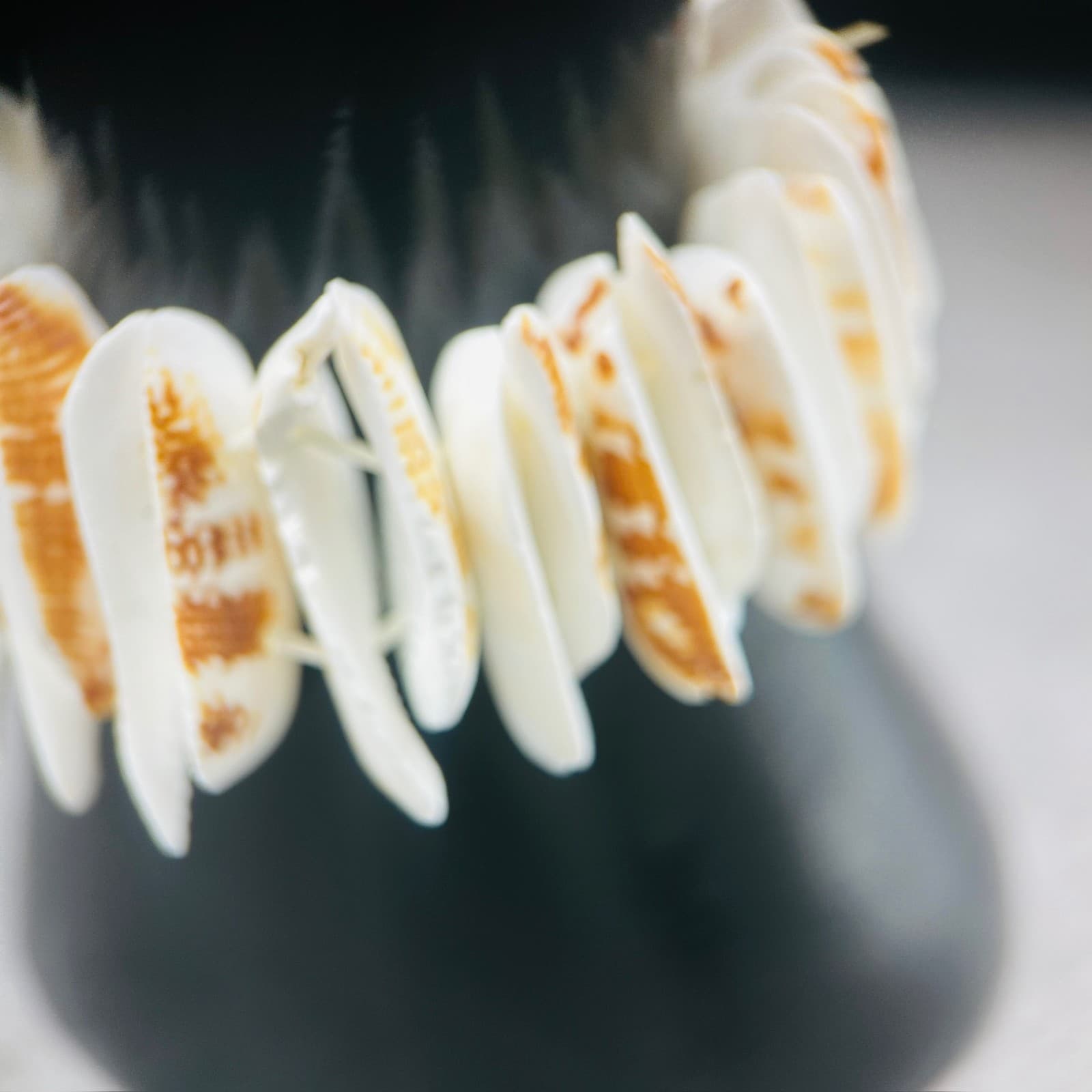 Natural Shell Disc Stretch Bracelet Beachy Boho Summer Style - Thumbnail 6