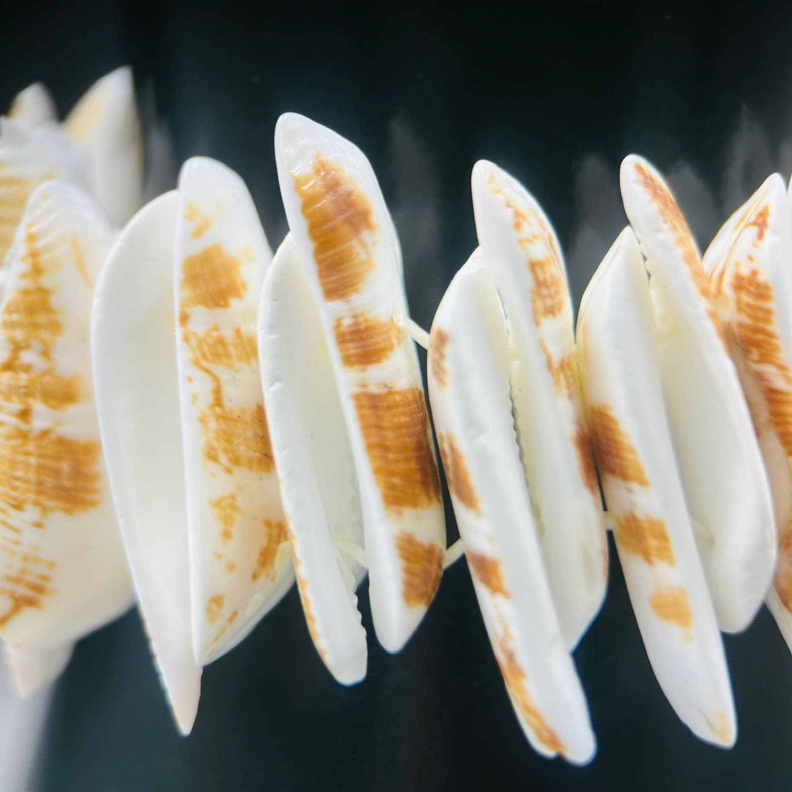 Natural Shell Disc Stretch Bracelet Beachy Boho Summer Style - Thumbnail 4