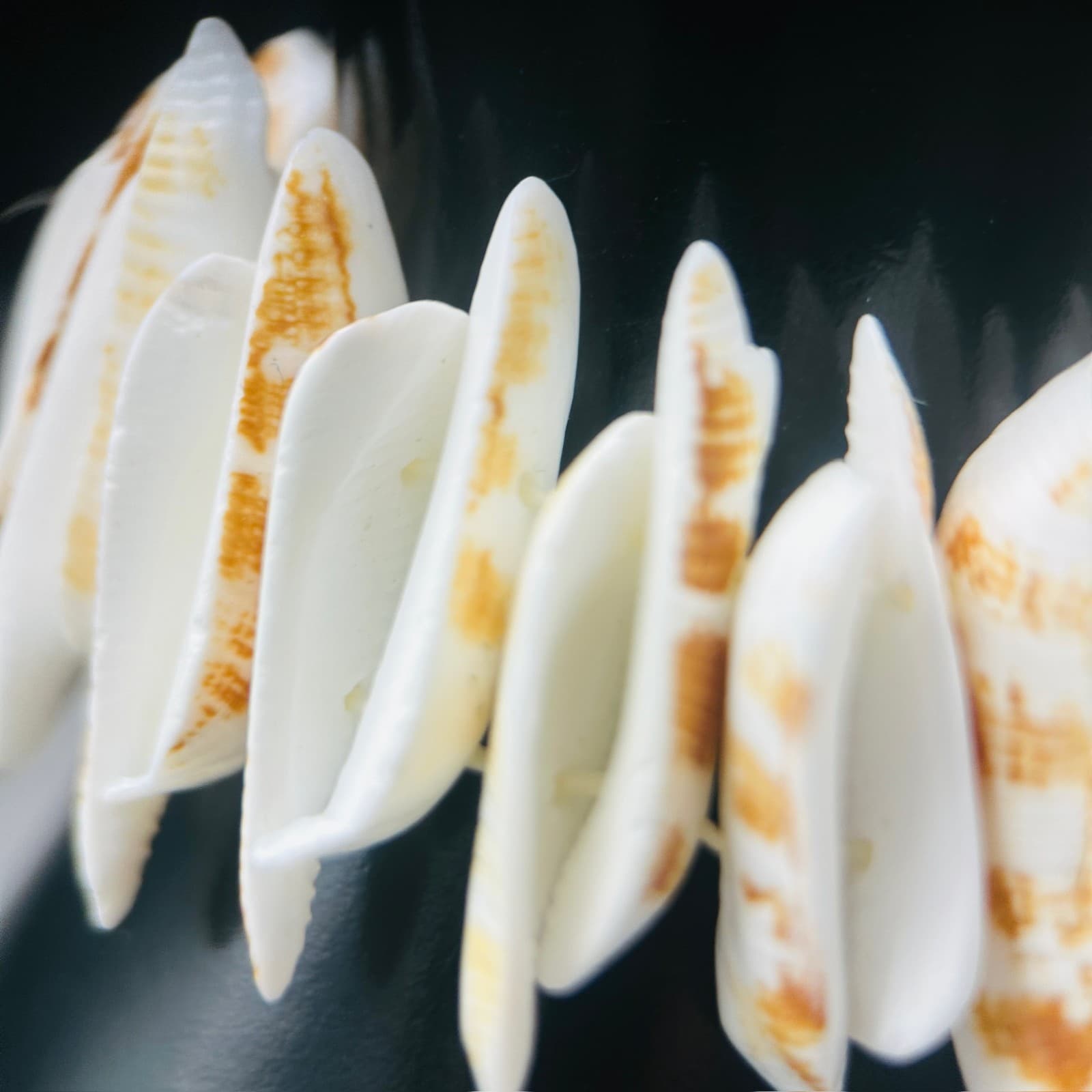 Natural Shell Disc Stretch Bracelet Beachy Boho Summer Style - Thumbnail 5