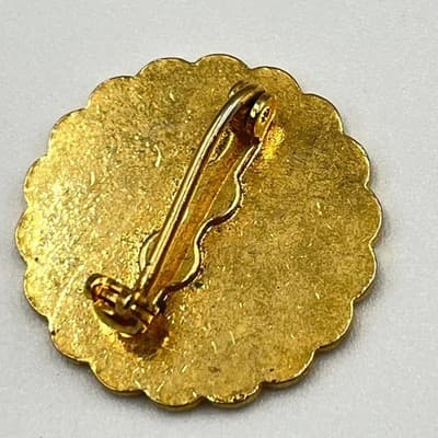 VTG Professional Business Institute Minneapolis Medical MT Caduceus Pin Badge - Thumbnail 3
