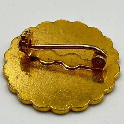 VTG Professional Business Institute Minneapolis Medical MT Caduceus Pin Badge - Thumbnail 4