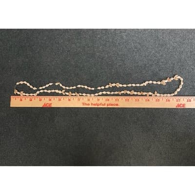 Vintage Cowrie Shell Heishi Strand Necklace Long Boho Beach Coastal Beige - Thumbnail 2