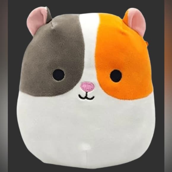 Squishmallows Everett Guinea Pig Plush Toy with Tag - Thumbnail 2