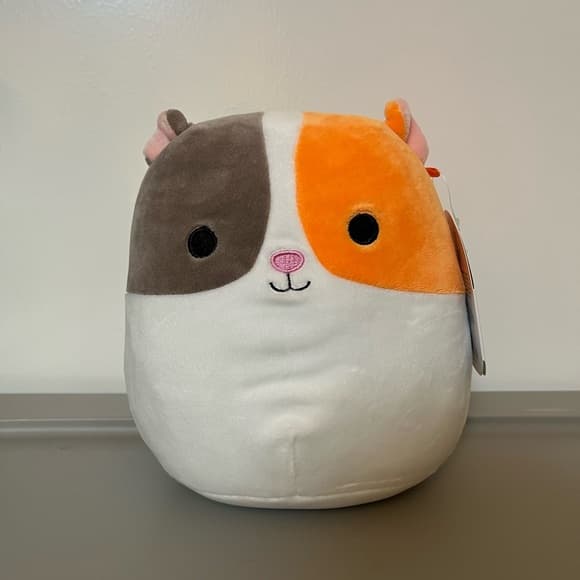 Squishmallows Everett Guinea Pig Plush Toy with Tag - Thumbnail 3