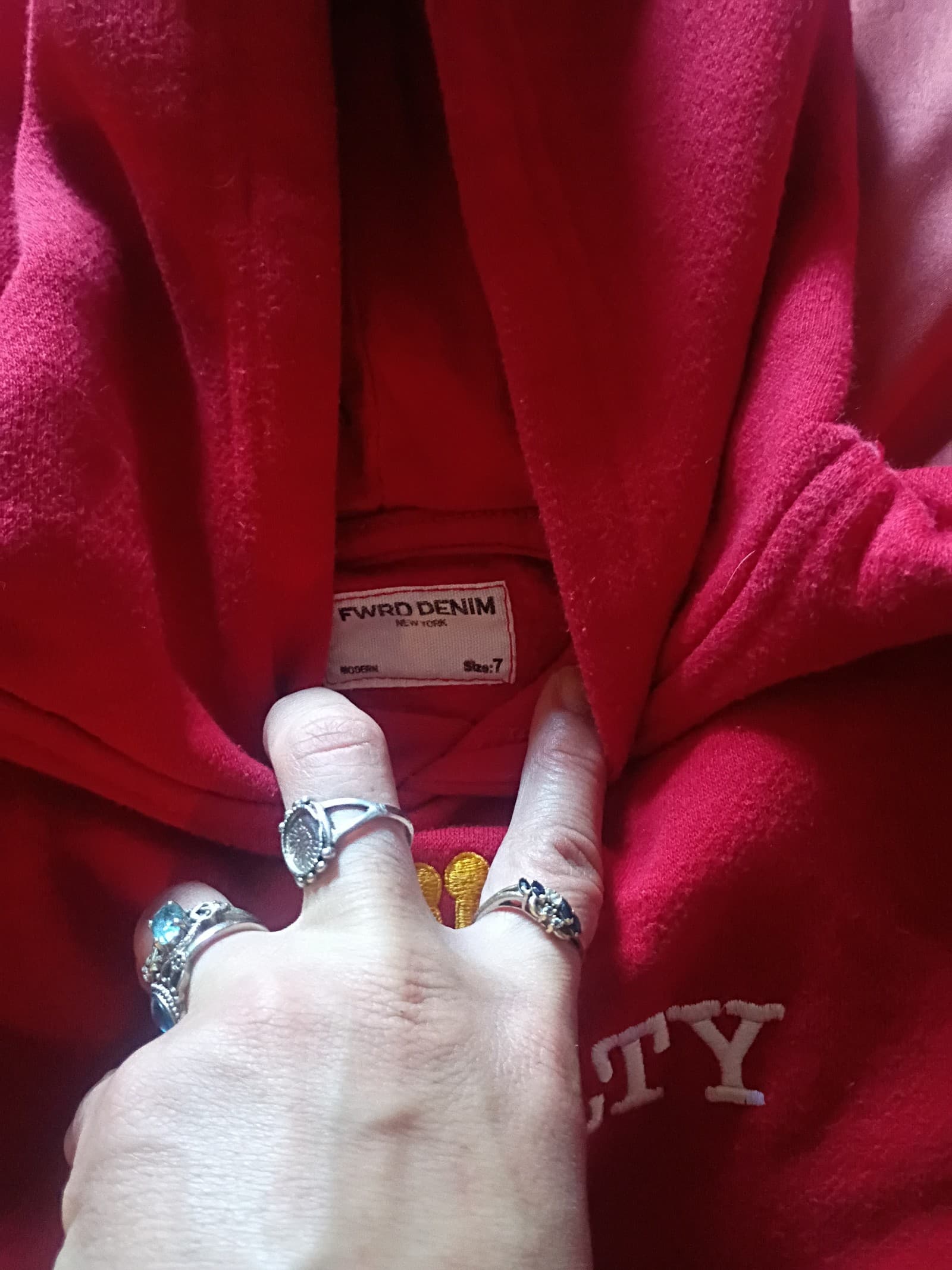 FWRD Denim "Royalty" Hoodie - Thumbnail 2