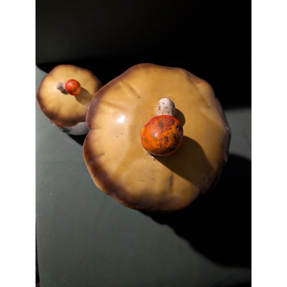 Vintage Sears Merry Mushroom Canister Set 2 Ceramic Jars Retro 1970s Kitchen MCM