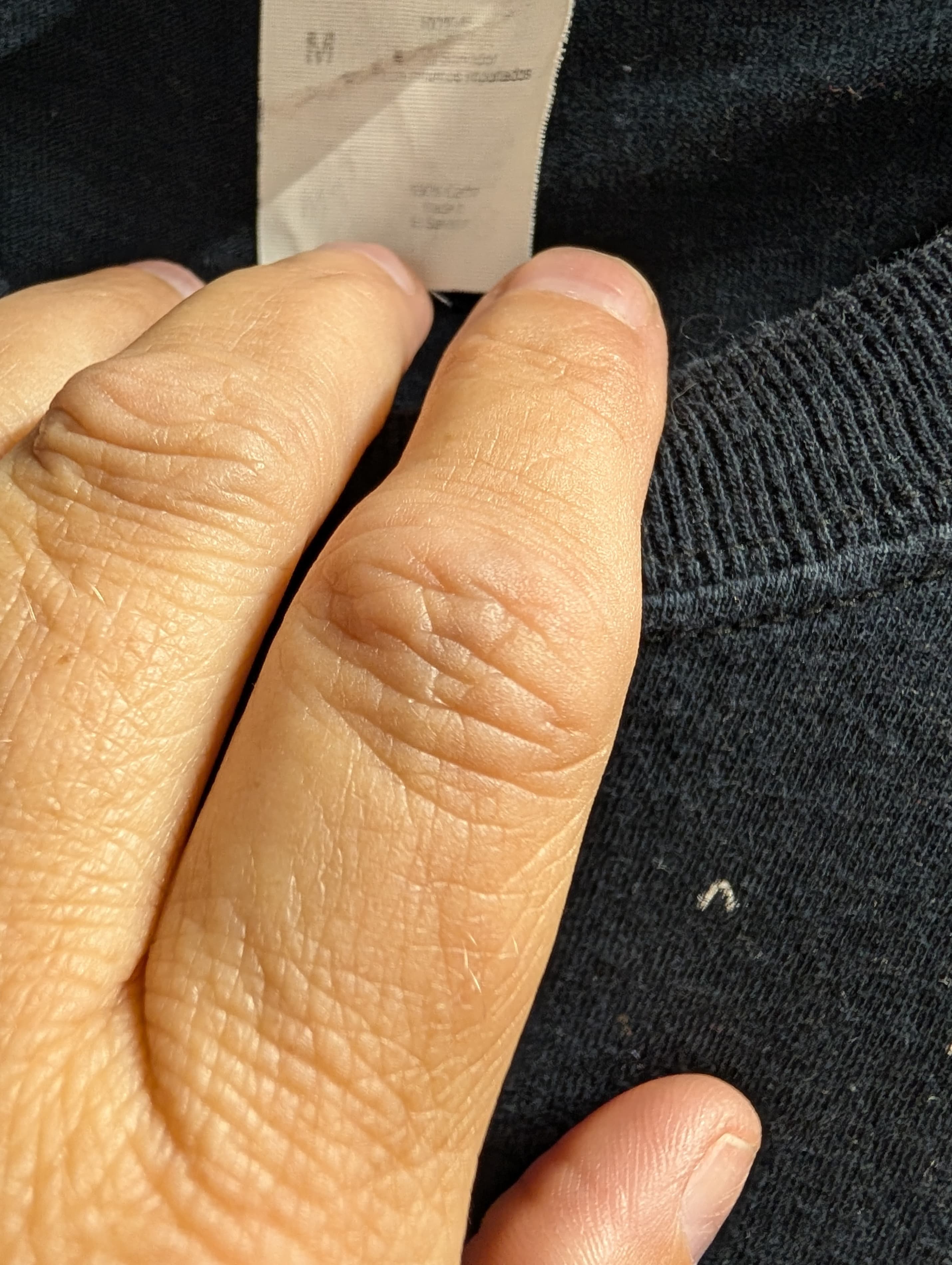 Fruit of the Loom Men's Medium Black Sweatshirt - Thumbnail 3