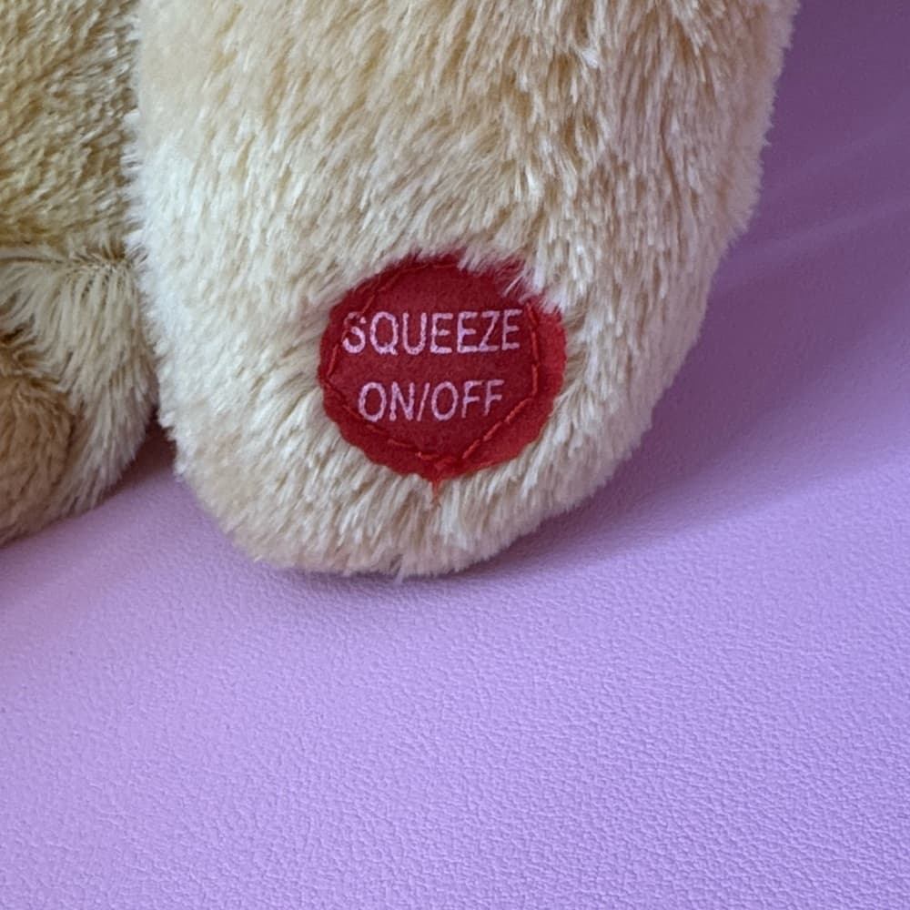 Chantilly Katrina The Singing Bear Plush - Thumbnail 5