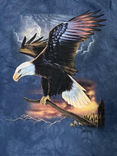 2006 THE MOUNTAIN Rick Kelley Bald Eagle tie dye t-shirt American Large Artist - Thumbnail 2