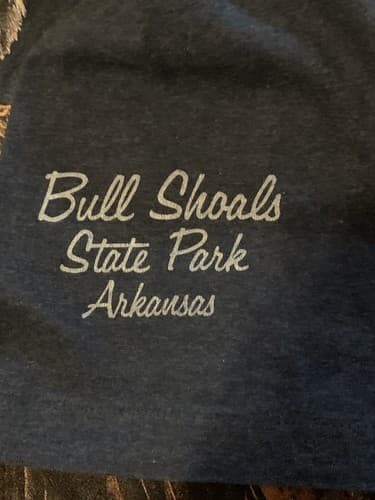 Vintage All Over Print Single Stitch Shirt Bald Eagle Animal Bull Shoals L AOP - Thumbnail 6