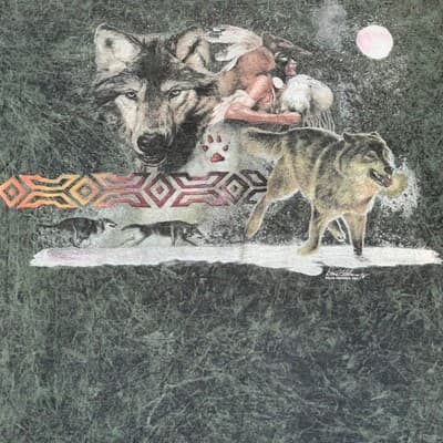Mens XL Polar Graphics Wolf Moon Nature T-Shirt - Thumbnail 2