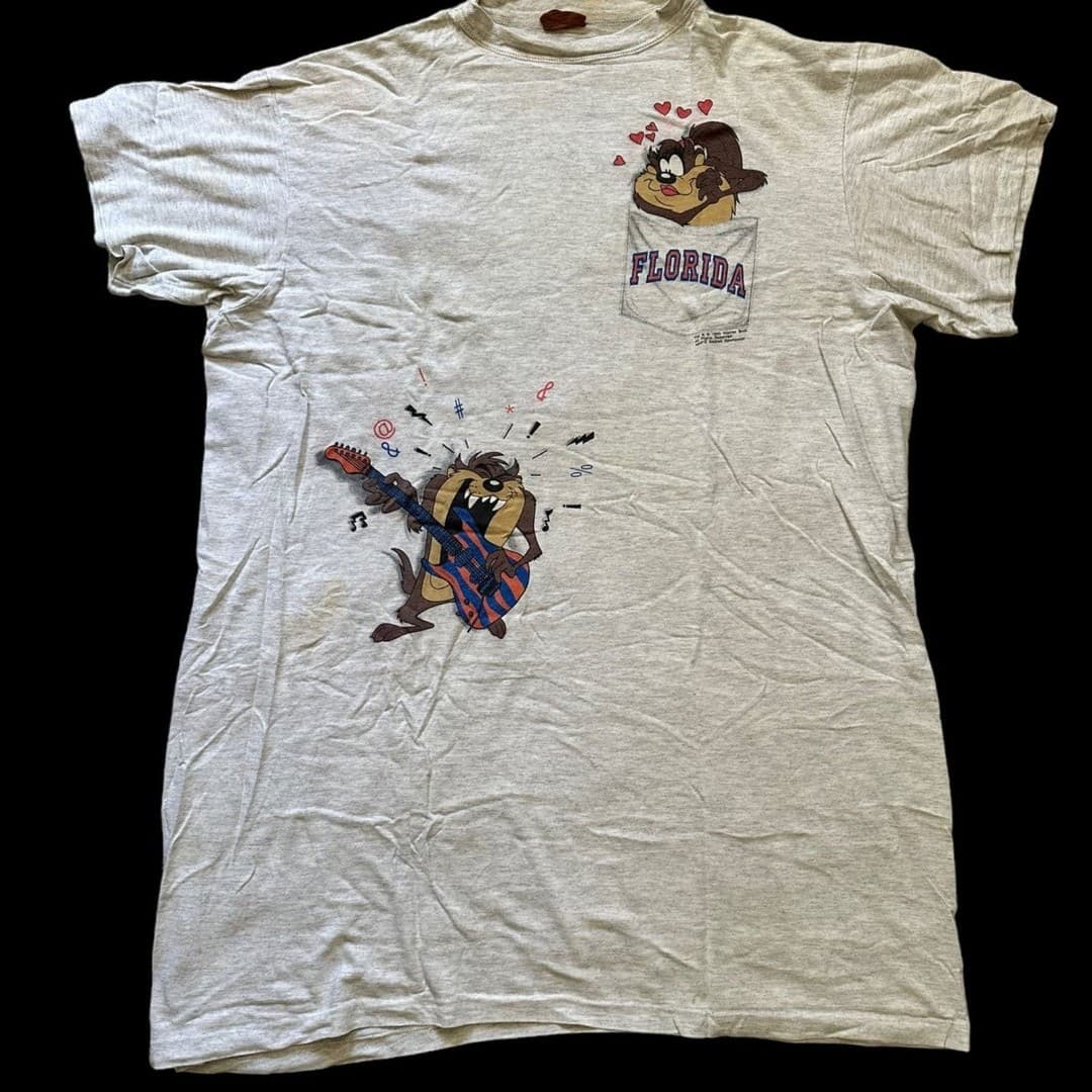 Vintage Pocket OSFA Taz Looney Tunes Sleep T-Shirt