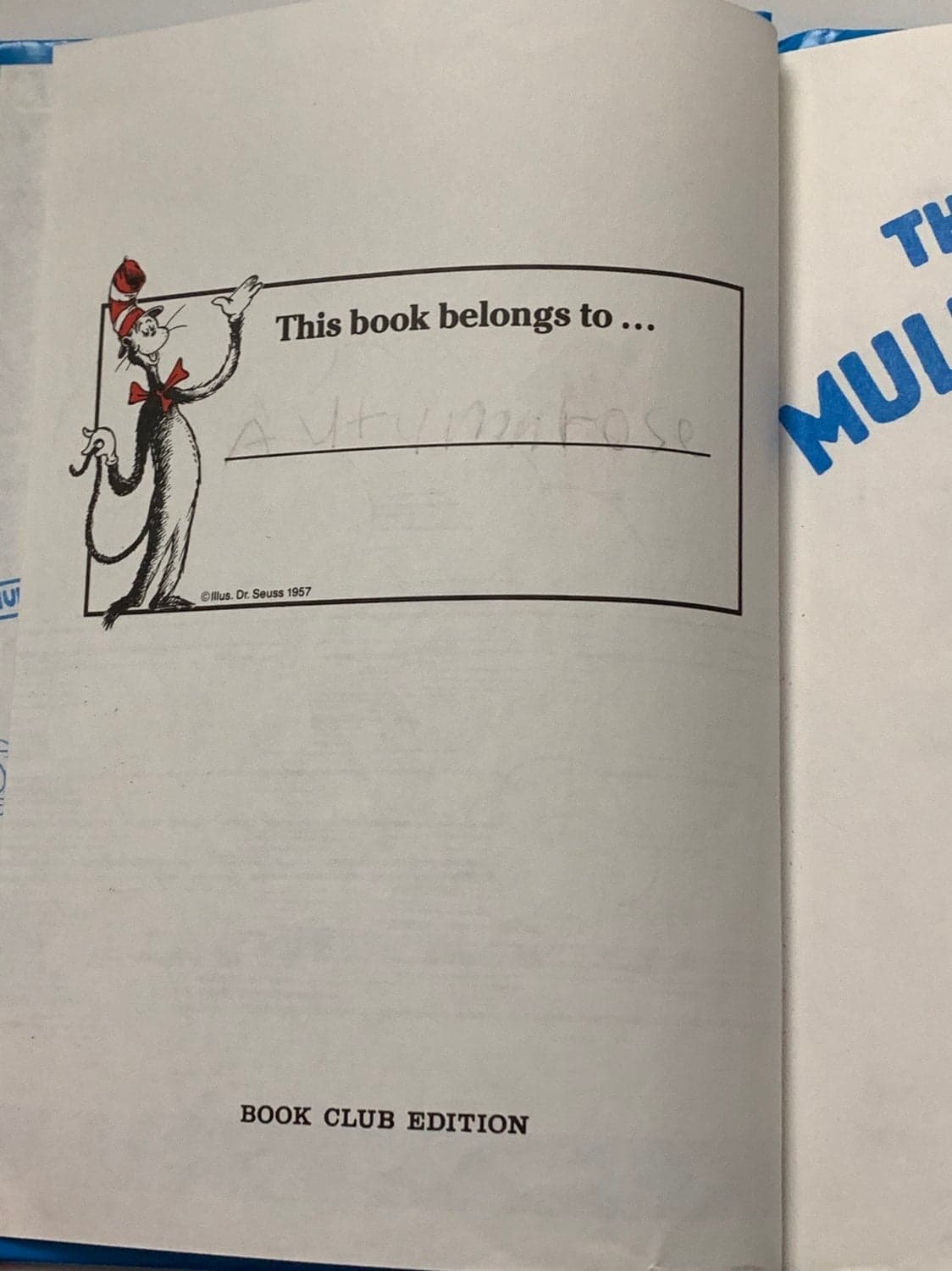 Dr. Seuss Mulberry street Book - Thumbnail 5