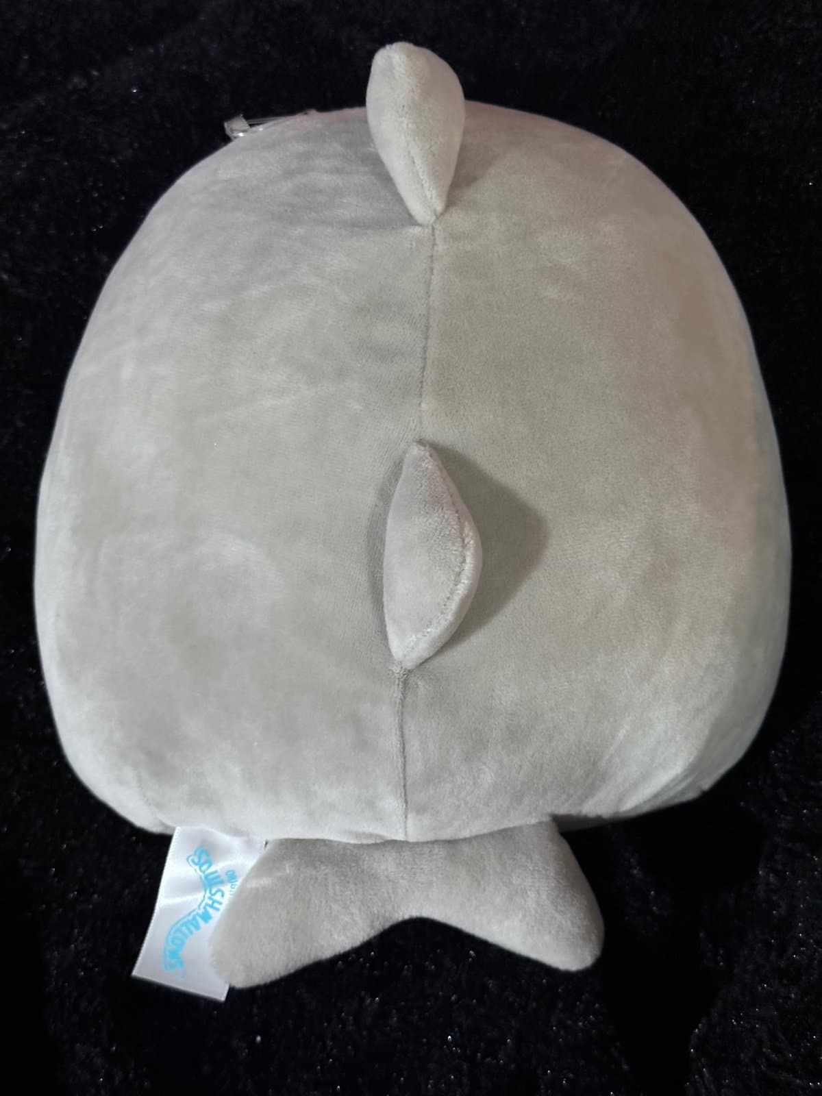 Squishmallow Gordon the Shark Holding Watermelon Stuffed Plush Gray 8" Kellytoy - Thumbnail 2