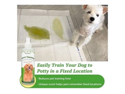 Pet Not Here and Potty Training Aid, Essential Potty Spray for Puppies - Dog Spr - Thumbnail 4