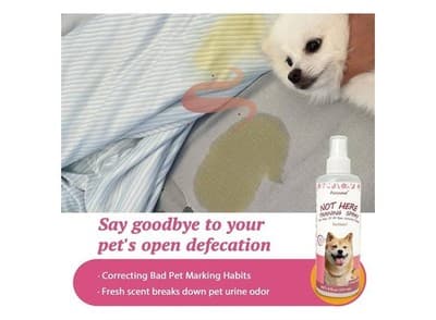Pet Not Here and Potty Training Aid, Essential Potty Spray for Puppies - Dog Spr - Thumbnail 3