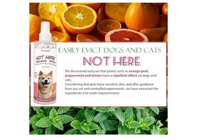 Pet Not Here and Potty Training Aid, Essential Potty Spray for Puppies - Dog Spr - Thumbnail 6