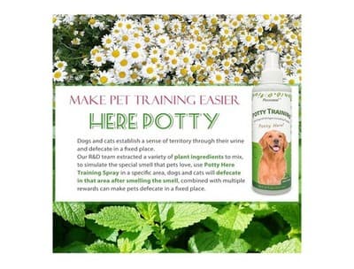 Pet Not Here and Potty Training Aid, Essential Potty Spray for Puppies - Dog Spr - Thumbnail 7