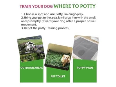 Pet Not Here and Potty Training Aid, Essential Potty Spray for Puppies - Dog Spr - Thumbnail 5