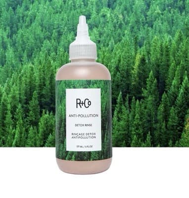 R+Co Anti-Pollution Detox Rinse 6 oz (177 mL) – Hair/Scalp Treatment
