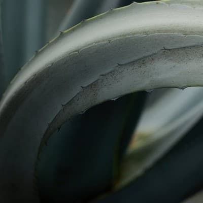 Urth 95mm ND4 (2 Stop) Plus+ Circular Lens Filter - Thumbnail 7