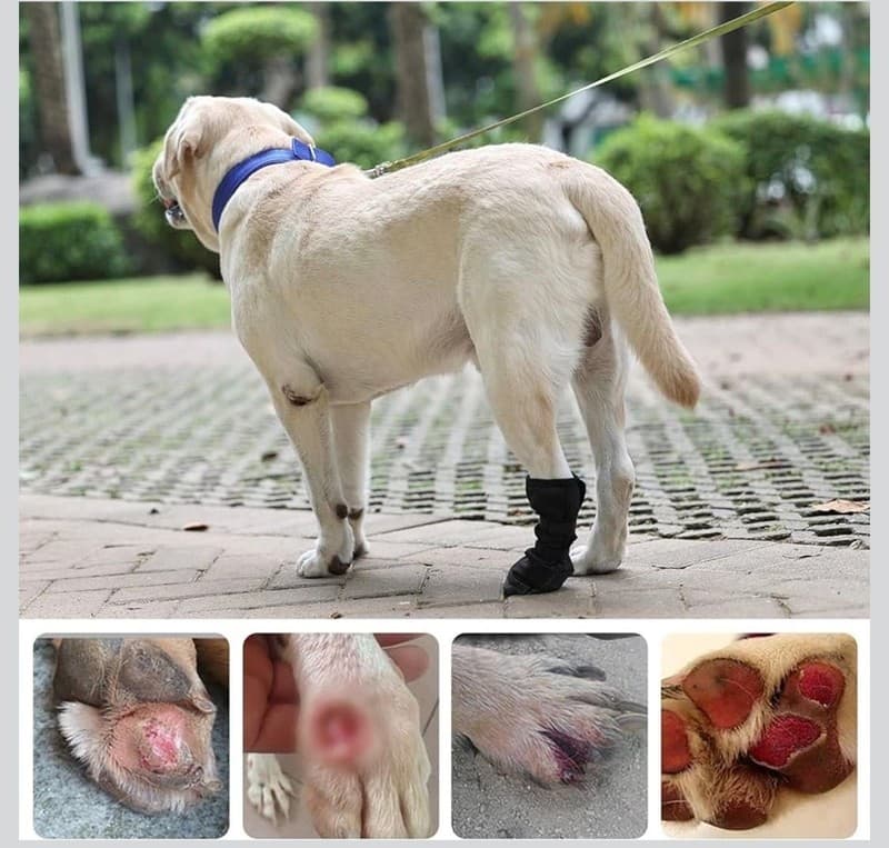 Ubxvamm Dog Paw Wound Recovery Boot - Breathable Anti-Lick Protector for Injured - Thumbnail 5