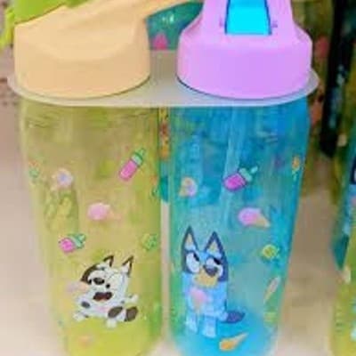 Zak Designs Bluey and Muffin 16oz Water Bottle 2-Pack
