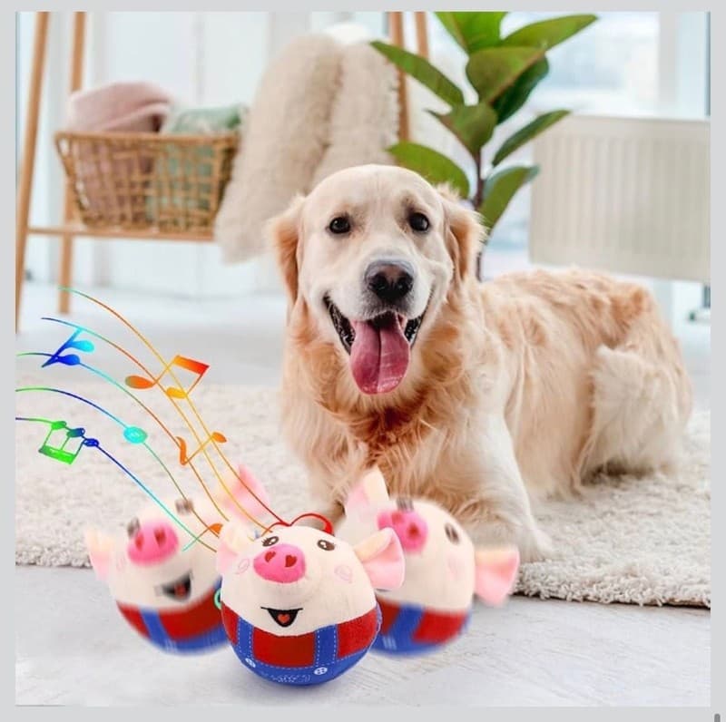 Jumping Squeaky Pig Dog Toy with Recording and Music Modes - Thumbnail 6