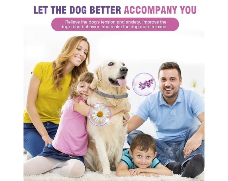 Dog Calming Collar 4-Pack, Pheromone Anxiety Relief Collars for Dogs, 60-Day Use - Thumbnail 3