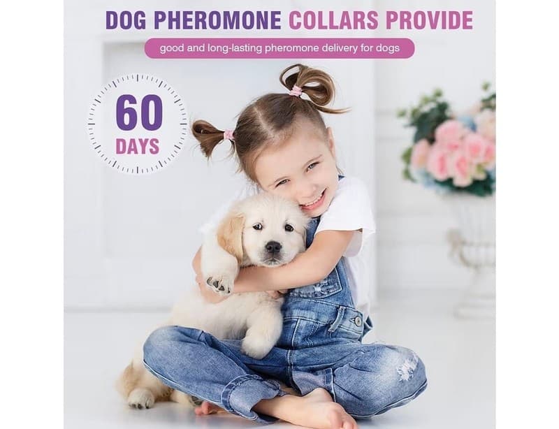 Dog Calming Collar 4-Pack, Pheromone Anxiety Relief Collars for Dogs, 60-Day Use - Thumbnail 2
