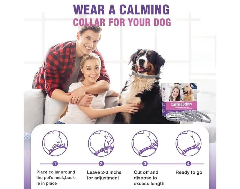 Dog Calming Collar 4-Pack, Pheromone Anxiety Relief Collars for Dogs, 60-Day Use - Thumbnail 6