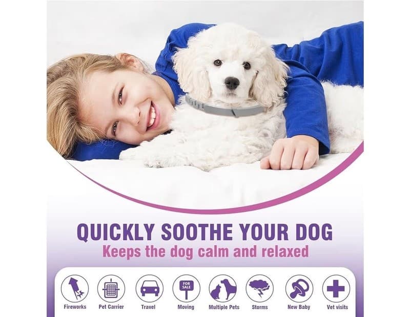 Dog Calming Collar 4-Pack, Pheromone Anxiety Relief Collars for Dogs, 60-Day Use - Thumbnail 4