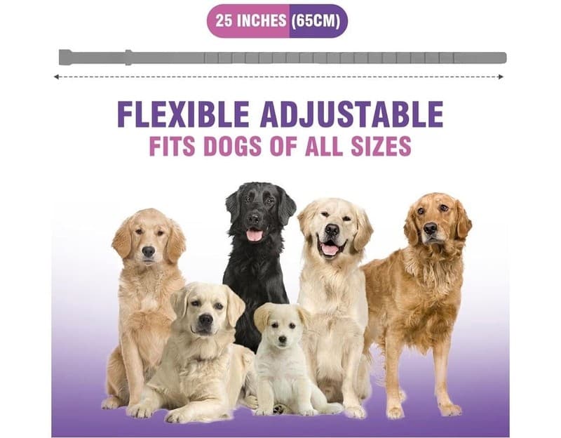 Dog Calming Collar 4-Pack, Pheromone Anxiety Relief Collars for Dogs, 60-Day Use - Thumbnail 7
