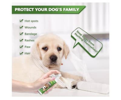 Cooraby Bitter Apple "Pet No Chew" Spray – 5.07 fl oz (150 ml) - Thumbnail 4