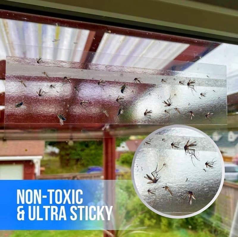 Garsum Window Fly Traps Indoor Transparent Sticky Glue Strips, 4 Count - Thumbnail 3