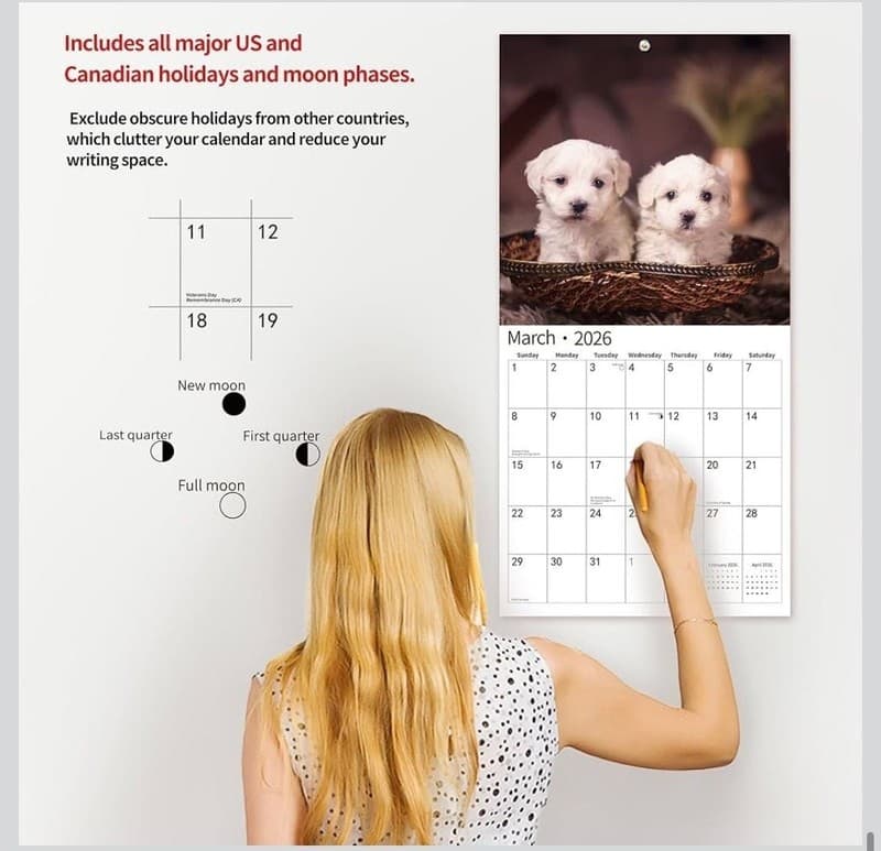2026 Maltese Wall Calendar, 18-Month (July 2025 - December 2026) Dog Breed - Thumbnail 5