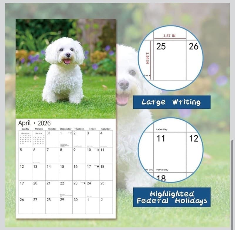2026 Maltese Wall Calendar, 18-Month (July 2025 - December 2026) Dog Breed - Thumbnail 4