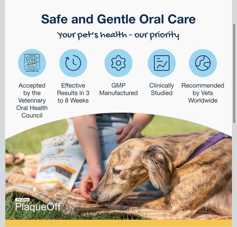 ProDen PlaqueOff System Turkey & Cranberry Dental Care Bones for Medium and Larg - Thumbnail 3