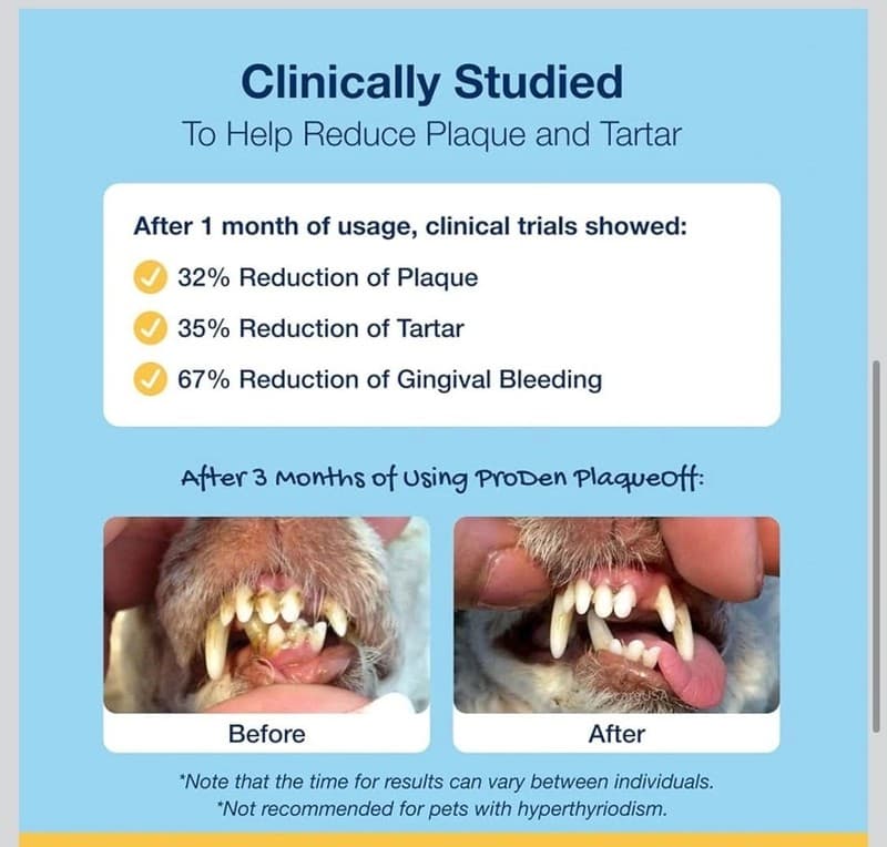 ProDen PlaqueOff System Turkey & Cranberry Dental Care Bones for Medium and Larg - Thumbnail 5