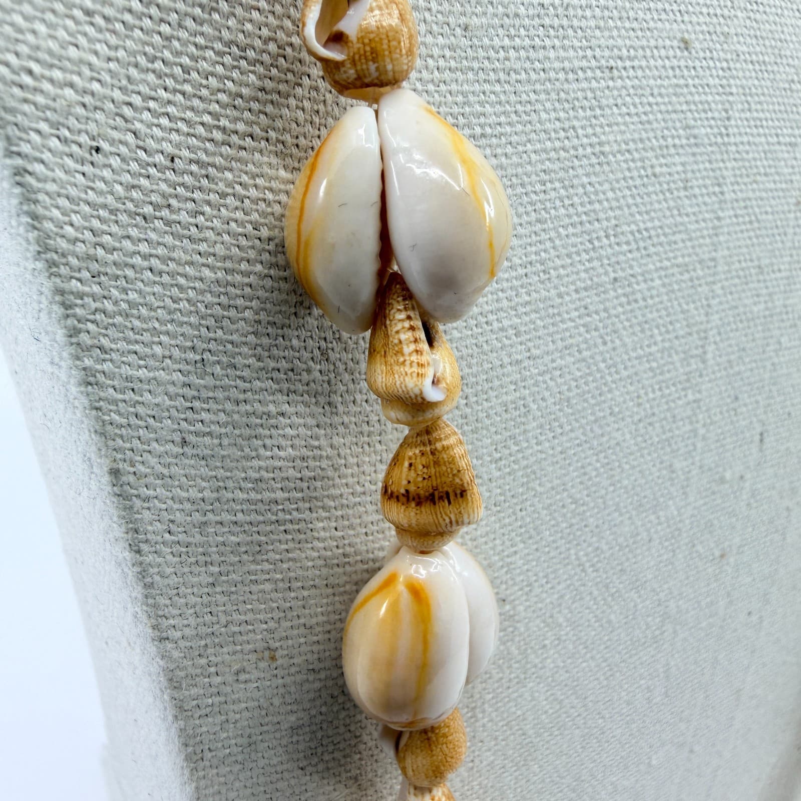 Natural Seashell Necklace Boho Festival Beach Jewelry Layering Statement Piece - Thumbnail 8
