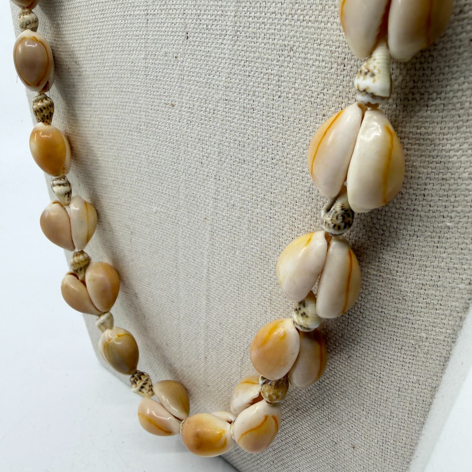Natural Shell Necklace Beach Jewelry Layering Organic Coastal Statement Piece - Thumbnail 6