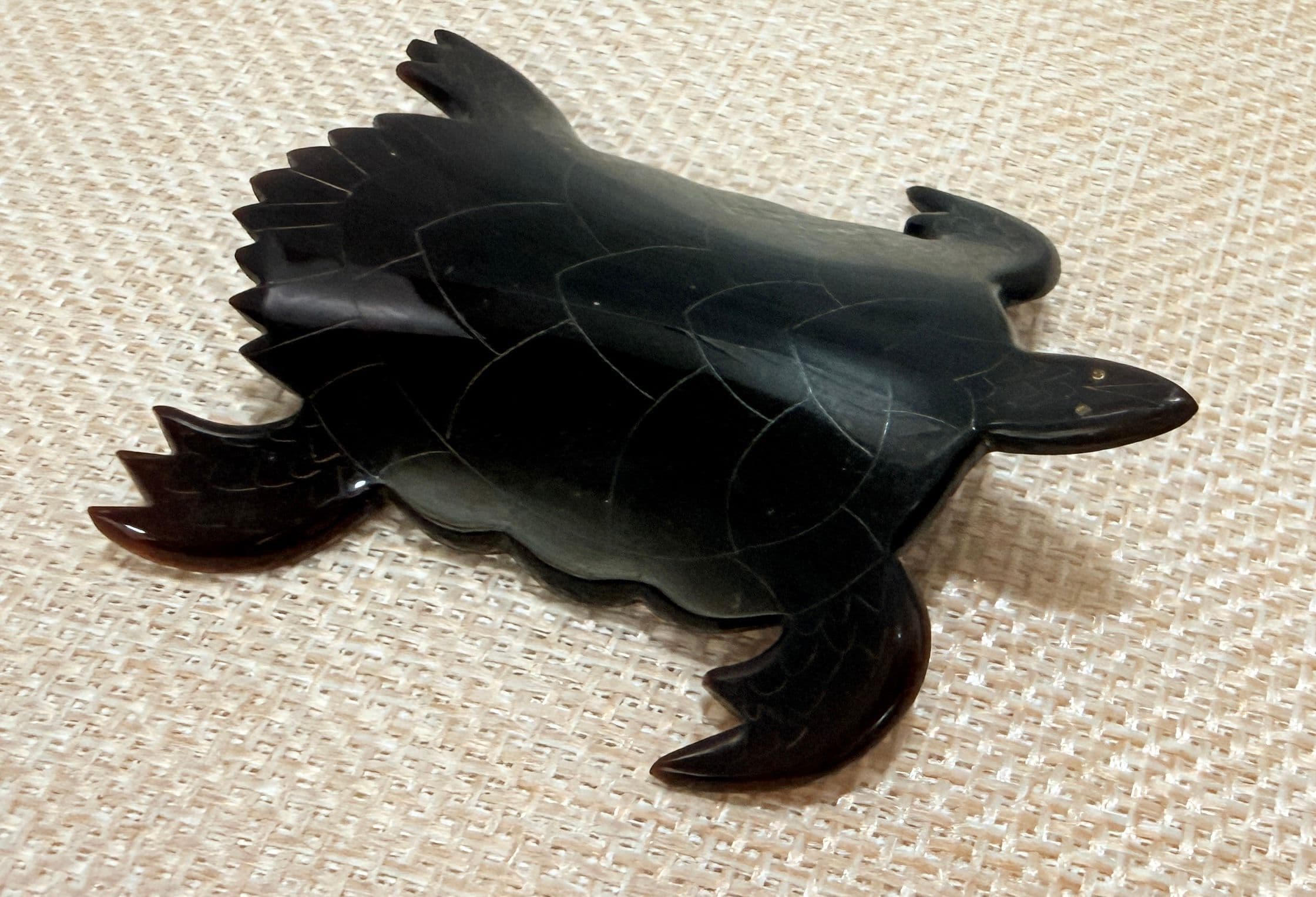 2A4 1940s Carved Tortoise Shell Sea Turtle Brooch