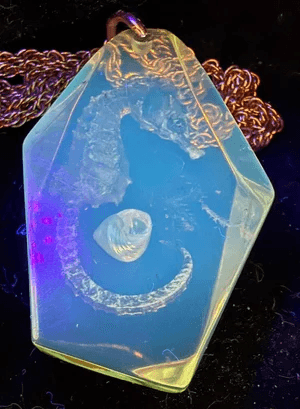 2A2. 1960s Art Deco Celluloid Seahorse Pendant/Necklace - Thumbnail 6