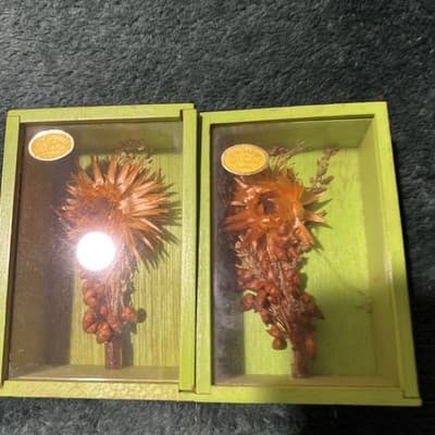 Two Modern Decorative Boxes Containing Dried Orange Flowers and Seed Pods. New - Thumbnail 2