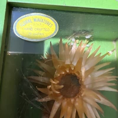 Two Modern Decorative Boxes Containing Dried Orange Flowers and Seed Pods. New - Thumbnail 8