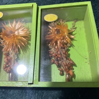 Two Modern Decorative Boxes Containing Dried Orange Flowers and Seed Pods. New - Thumbnail 5