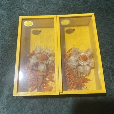 VNTG MCM 1970s Framed Shadow Box Dried Flowers Wood Frame Wall Decor. Japanese. - Thumbnail 8