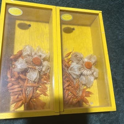 VNTG MCM 1970s Framed Shadow Box Dried Flowers Wood Frame Wall Decor. Japanese. - Thumbnail 3